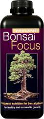 Bonsai Focus - Balanced nutrition for all Bonsai plants.