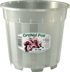 Clear Orchid Pots - Transparent plant pots, ideal for orchids.