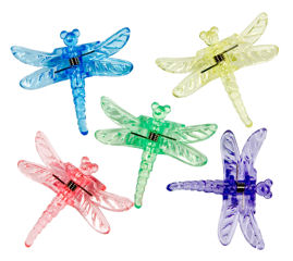 Dragonfly Colours