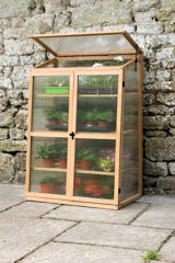 Haxnicks FSC Certified Quality Oak Plant House - These quality Oak growhouses are versatile and perfect for bringing on cuttings and seedlings in the Autumn, drying bulbs in Winter, propagation in Spring, hardening off bedding plants in late Spring and sowing perennials during Summer.