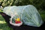 EcoGreen Giant Growing Tunnel - Aerated Polythene